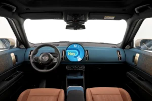 Mini Countryman (1)